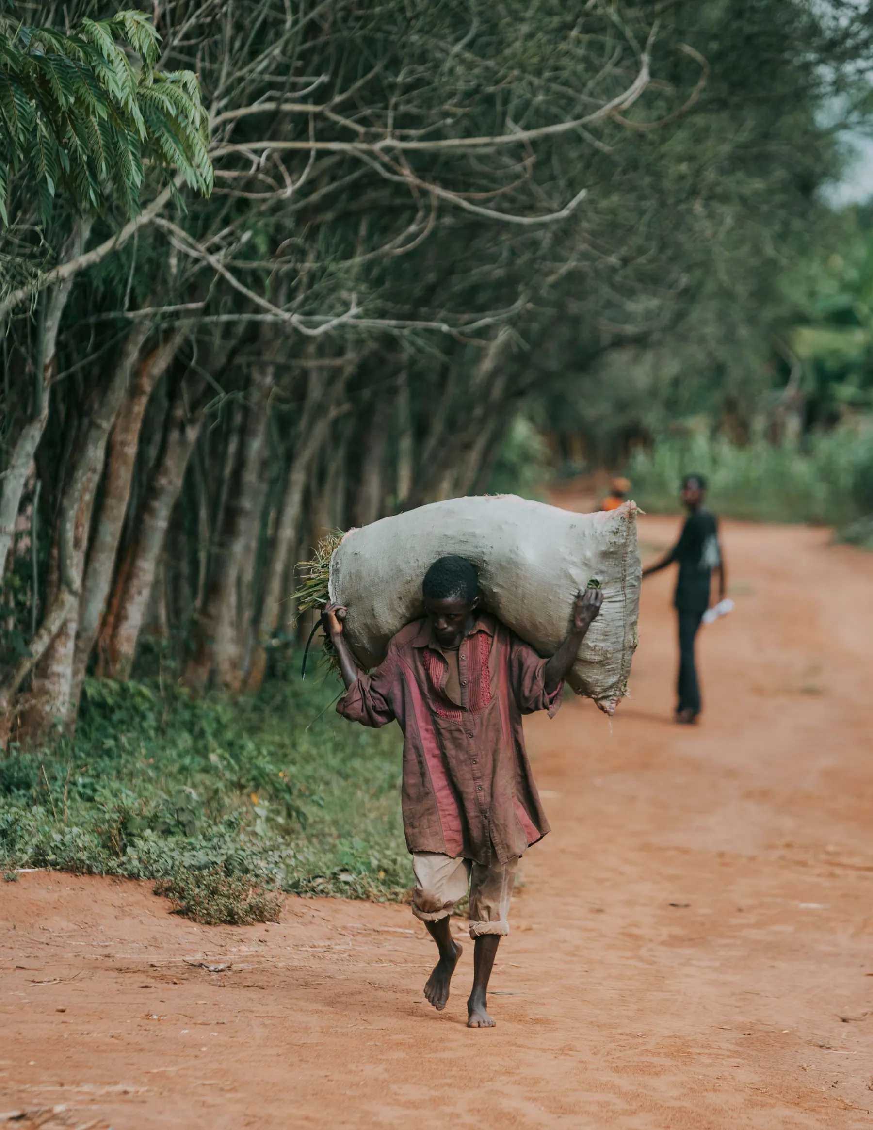 A man carrying a sack on a red-earth road
